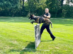 IGP/IPO/Schutzhund Aluminum Deluxe Hurdle Jump 11 IGP/IPO/Schutzhund Aluminum Deluxe Hurdle Jump -Magical Ears Collectibles Shop 109020 50 31311.1664373987