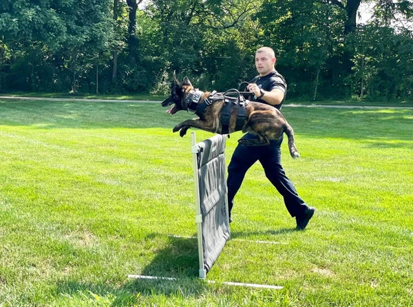 IGP/IPO/Schutzhund Aluminum Deluxe Hurdle Jump 5 IGP/IPO/Schutzhund Aluminum Deluxe Hurdle Jump - Image 5