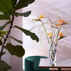 Baccarat Crystal, Tornado Large Crystal Vase 14 7/8" 5 Baccarat Crystal, Tornado Large Crystal Vase 14 7/8" -Magical Ears Collectibles Shop 2102417B a4