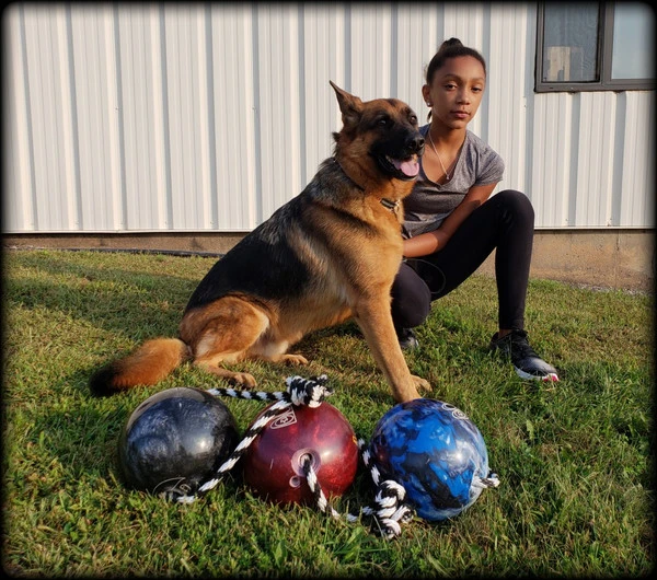Muscle Building & Exercise Dog Ball W/ Rope 4 Muscle Building & Exercise Dog Ball W/ Rope - Image 4