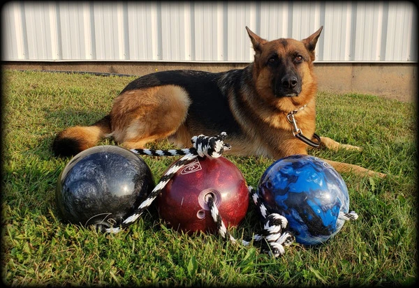 Muscle Building & Exercise Dog Ball W/ Rope 9 Muscle Building & Exercise Dog Ball W/ Rope - Image 9