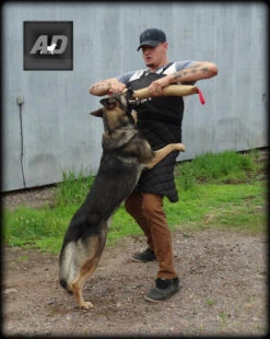 Fabric Scratch Apron 7 Fabric Scratch Apron -Magical Ears Collectibles Shop 8009620AD1 3 full 10263.1638911385