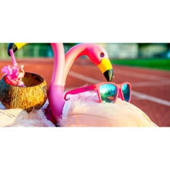 Goodr Flamingos On A Booze Cruise Sunglasses 6 Goodr Flamingos On A Booze Cruise Sunglasses -Magical Ears Collectibles Shop Product 0010 Flamingos 1000x 67513.1581522210